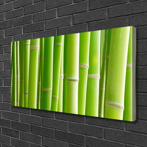 Quadro su tela Stelo della pianta del fiore di bambù 100x50 cm