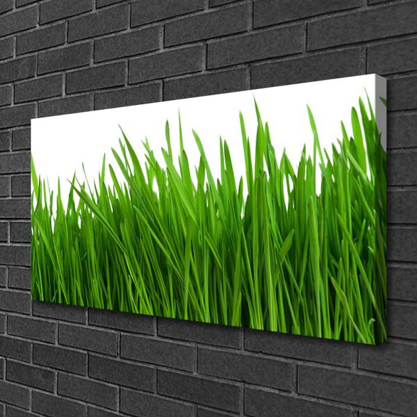 Quadro su tela Erba, piante, natura 100x50 cm