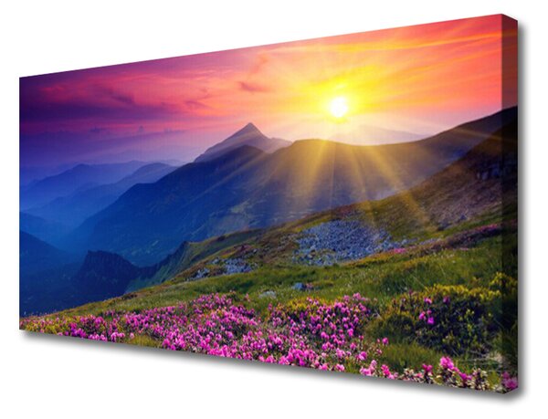 Quadro su tela Paesaggio del prato di montagna del fiore 125x50 cm