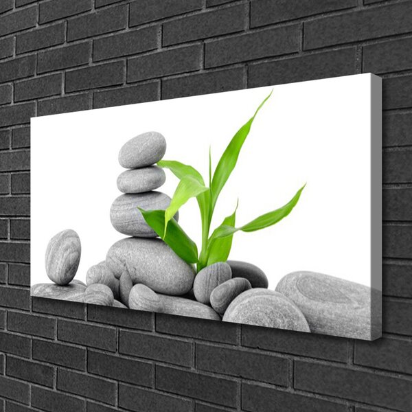 Quadro su tela Pietre, foglie, arte 100x50 cm