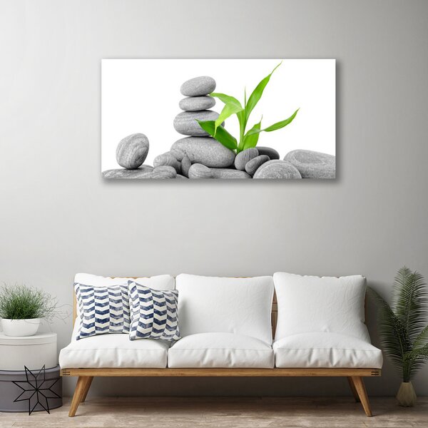 Quadro su tela Pietre, foglie, arte 100x50 cm