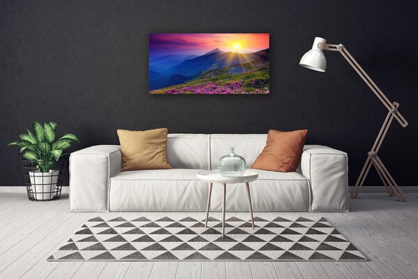 Quadro su tela Paesaggio del prato di montagna del fiore 100x50 cm