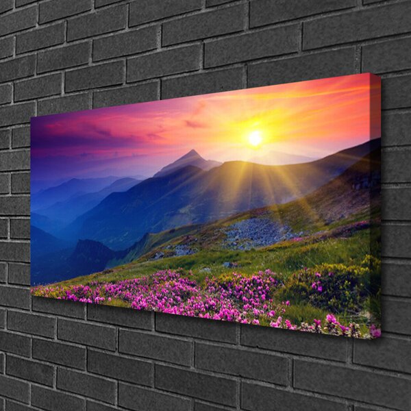Quadro su tela Paesaggio del prato di montagna del fiore 100x50 cm