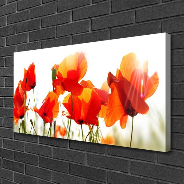 Quadro su tela Natura, papaveri, piante 100x50 cm