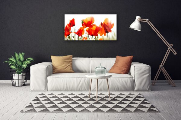 Quadro su tela Natura, papaveri, piante 100x50 cm