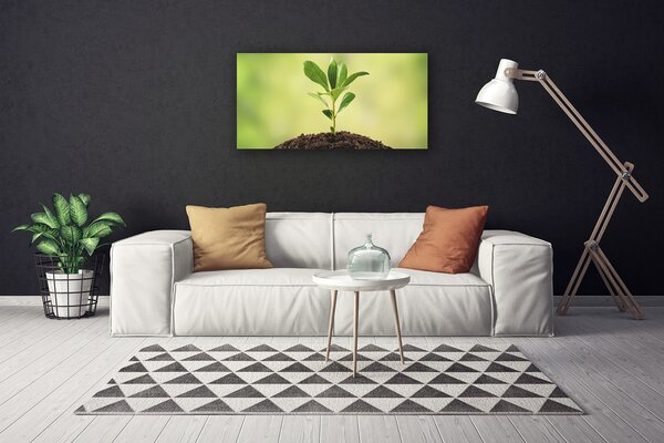 Stampa quadro su tela Crescita delle piante di terra 100x50 cm