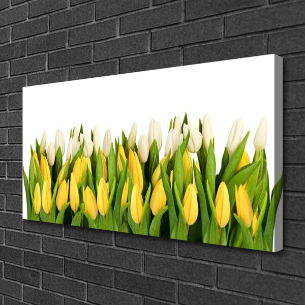 Quadro su tela Tulipani, fiori, piante 100x50 cm