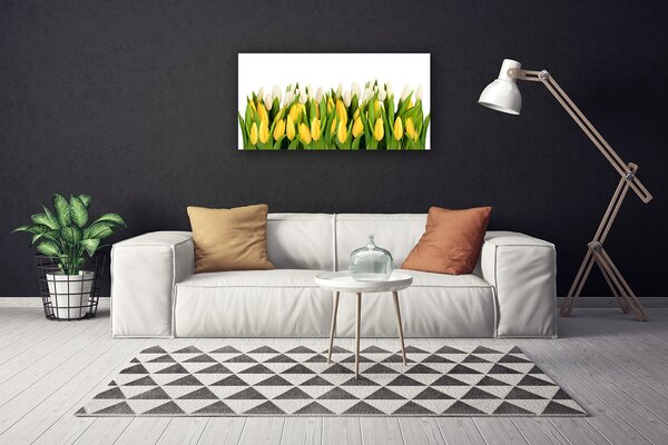 Quadro su tela Tulipani, fiori, piante 100x50 cm