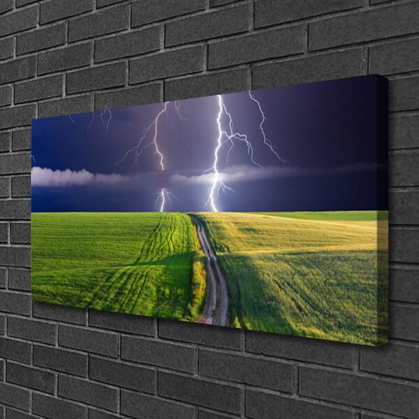 Quadro su tela Paesaggio del campo di fulmini 100x50 cm