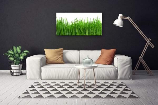 Quadro su tela Erba, piante, natura 100x50 cm