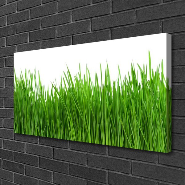 Quadro su tela Erba, piante, natura 100x50 cm