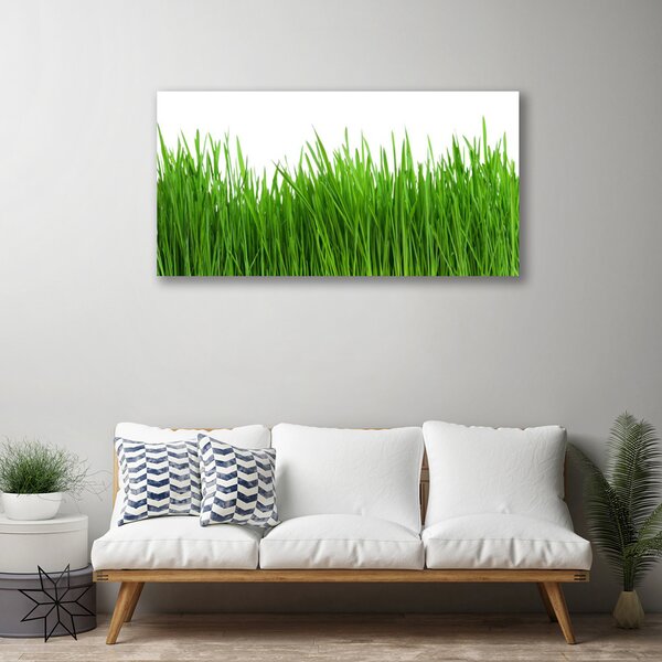 Quadro su tela Erba, piante, natura 100x50 cm