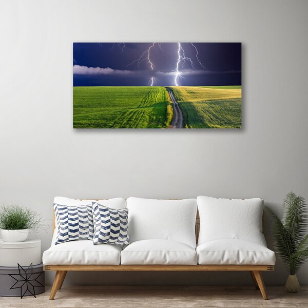 Quadro su tela Paesaggio del campo di fulmini 100x50 cm