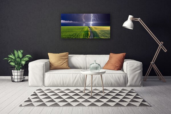 Quadro su tela Paesaggio del campo di fulmini 100x50 cm