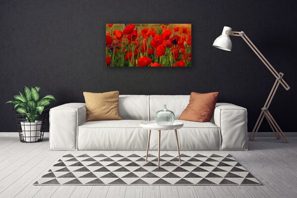 Stampa quadro su tela Natura, papaveri, piante 100x50 cm