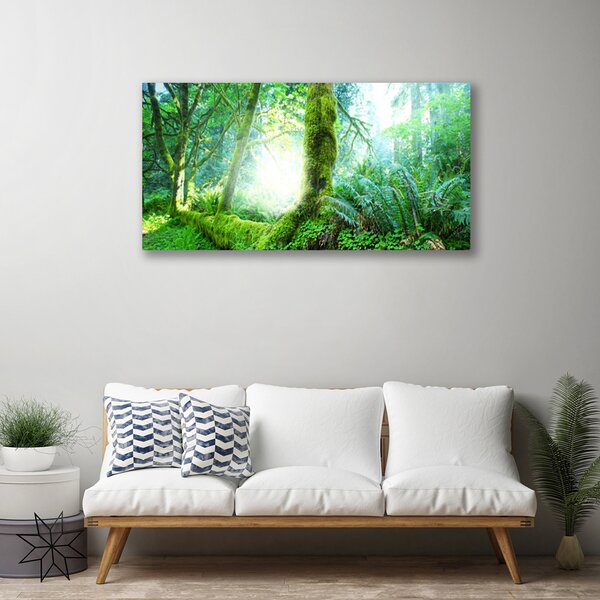 Quadro su tela Foresta della natura del muschio 100x50 cm