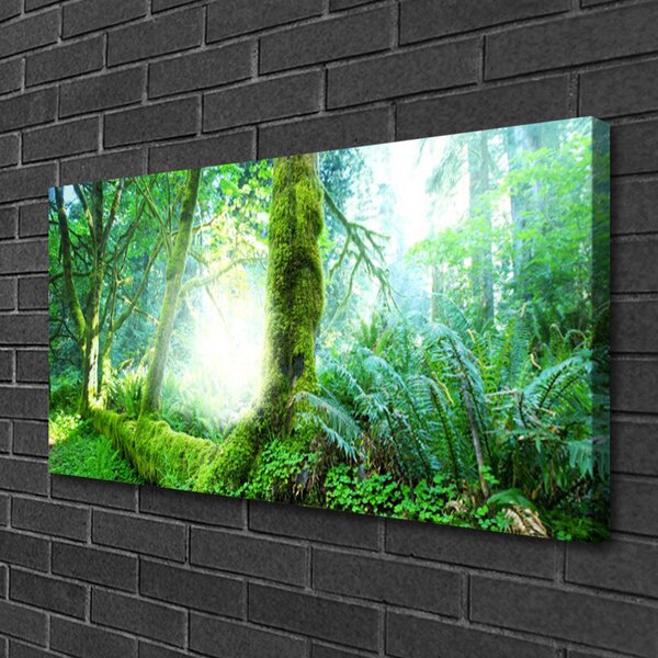 Quadro su tela Foresta della natura del muschio 100x50 cm