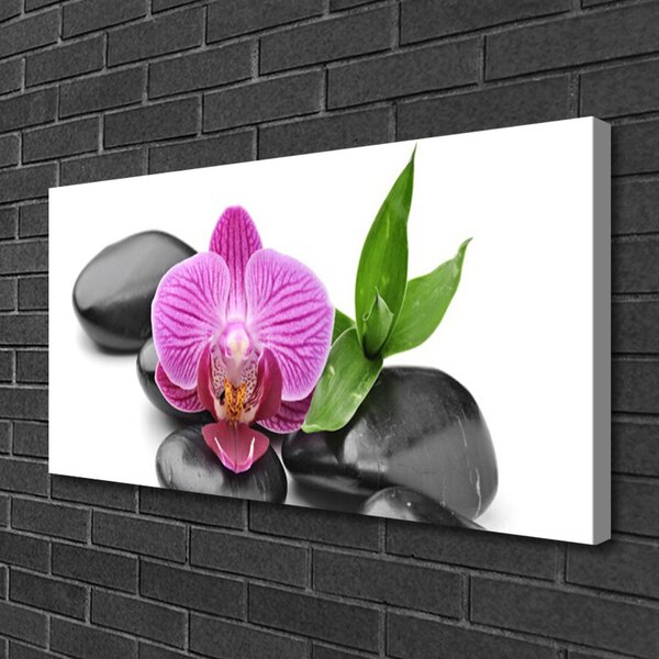 Quadro su tela Pietre di fiori Art 100x50 cm