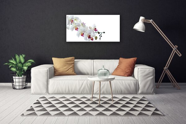 Quadro su tela Fiori, piante, natura 100x50 cm