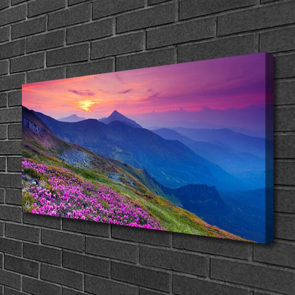 Quadro su tela Montagne. Prato. Fiori. Paesaggio 100x50 cm