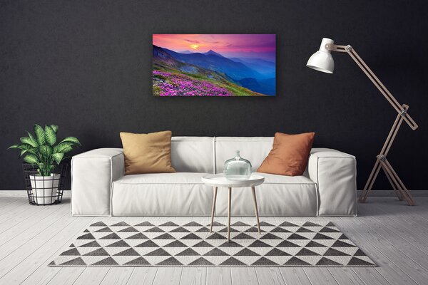 Quadro su tela Montagne. Prato. Fiori. Paesaggio 100x50 cm