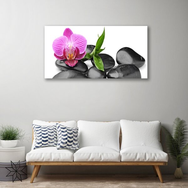 Quadro su tela Pietre di fiori Art 100x50 cm