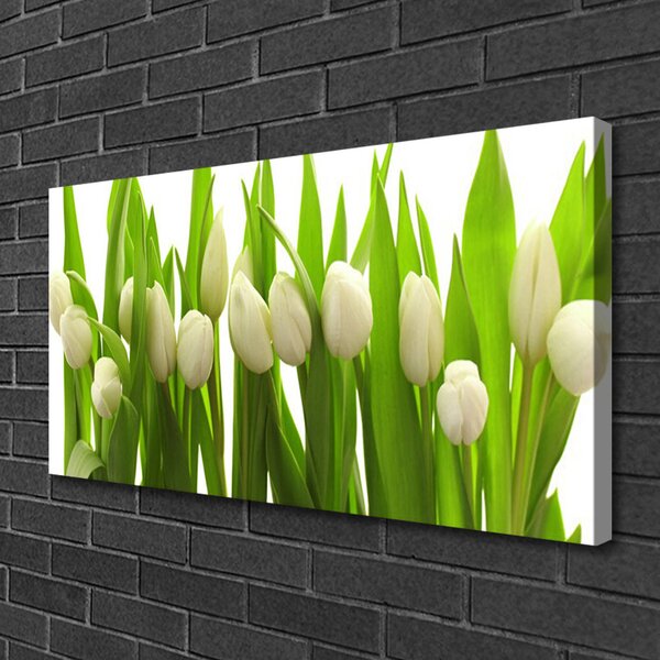Quadro su tela Tulipani, fiori, piante 100x50 cm