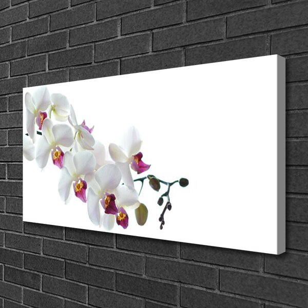 Quadro su tela Fiori, piante, natura 100x50 cm