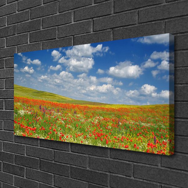 Quadro su tela Paesaggio di fiori di prato 100x50 cm