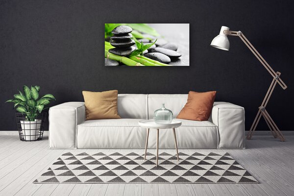 Quadro su tela Pietre di bambù Pianta 100x50 cm