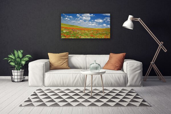 Quadro su tela Paesaggio di fiori di prato 100x50 cm