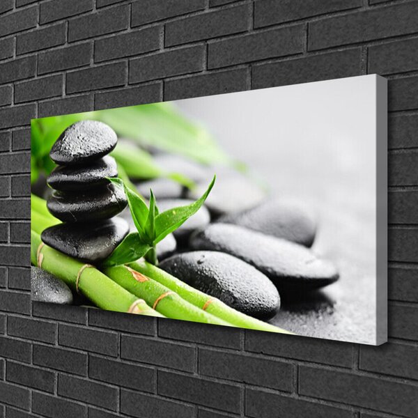 Quadro su tela Pietre di bambù Pianta 100x50 cm