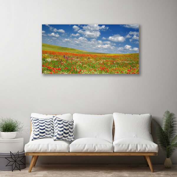Quadro su tela Paesaggio di fiori di prato 100x50 cm