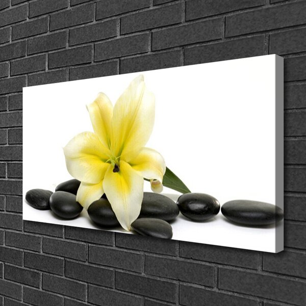 Quadro su tela Pietre di fiori Art 100x50 cm