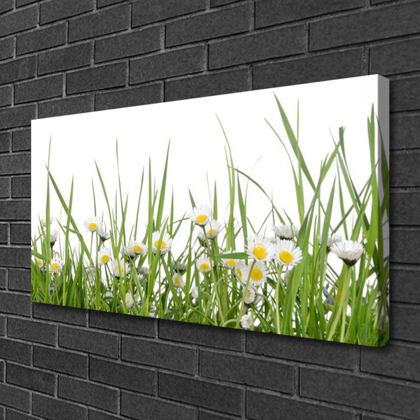 Quadro su tela Erba, margherite, natura 100x50 cm