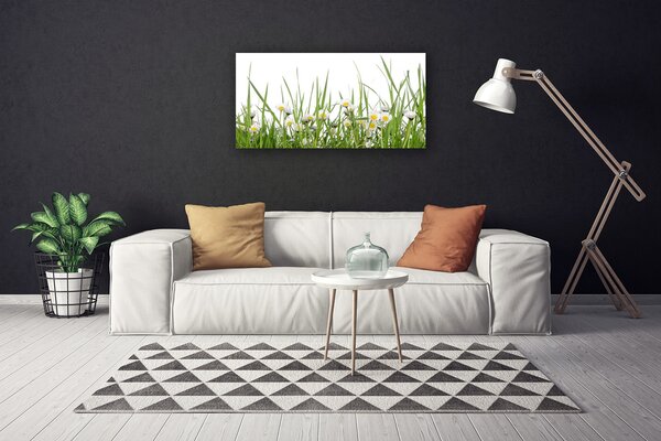 Quadro su tela Erba, margherite, natura 100x50 cm