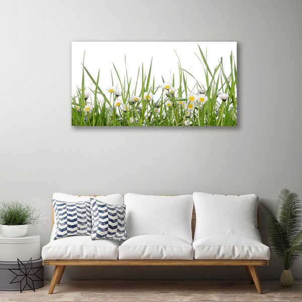 Quadro su tela Erba, margherite, natura 100x50 cm