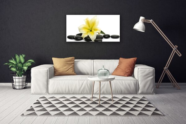 Quadro su tela Pietre di fiori Art 100x50 cm