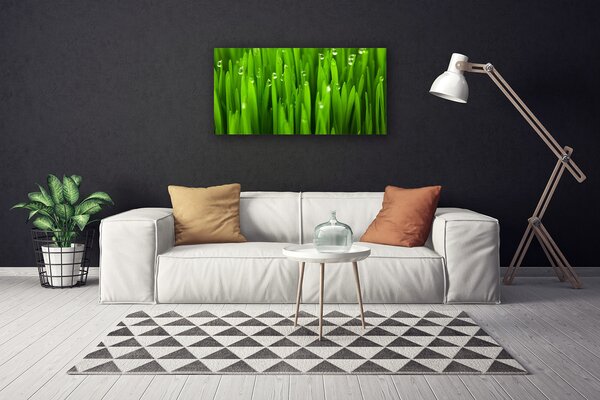 Quadro su tela Erba Natura Pianta 100x50 cm