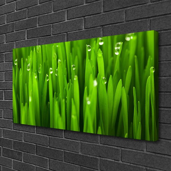 Quadro su tela Erba Natura Pianta 100x50 cm