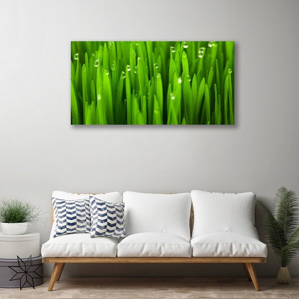 Quadro su tela Erba Natura Pianta 100x50 cm