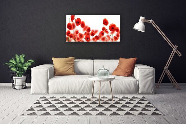 Quadro su tela Natura, papaveri, piante 100x50 cm