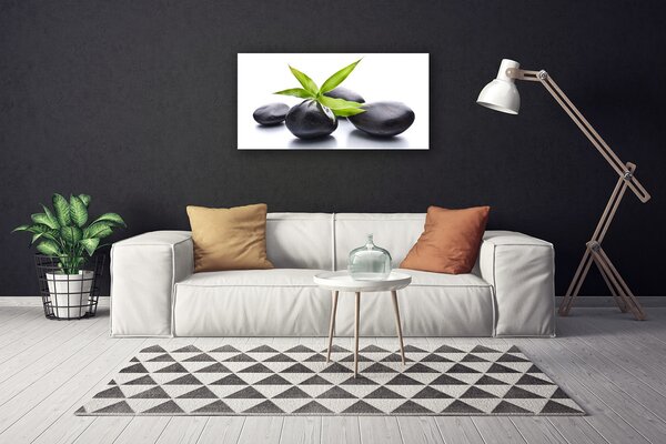 Quadro su tela Pietre, foglie, arte 100x50 cm