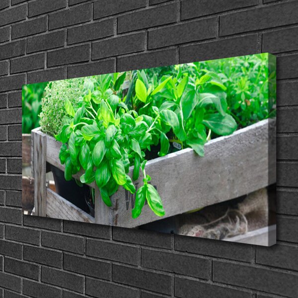 Quadro su tela Foglie di piante naturali 100x50 cm