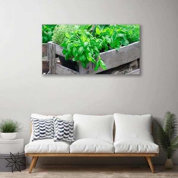 Quadro su tela Foglie di piante naturali 100x50 cm