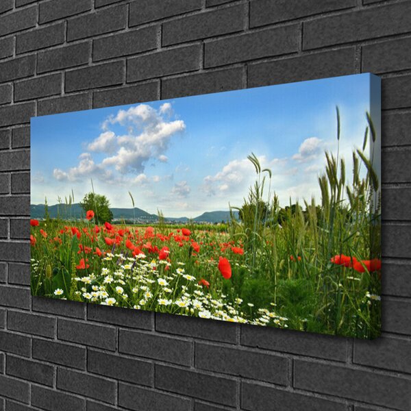 Stampa quadro su tela Prato, fiori, natura 100x50 cm