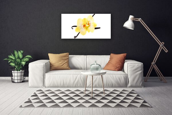 Stampa quadro su tela Fiori, piante, natura 100x50 cm