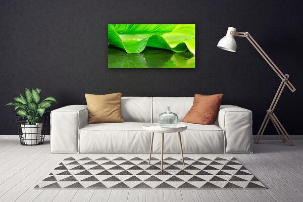 Quadro su tela Foglia di piante naturali 100x50 cm