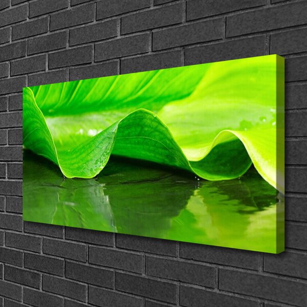 Quadro su tela Foglia di piante naturali 100x50 cm