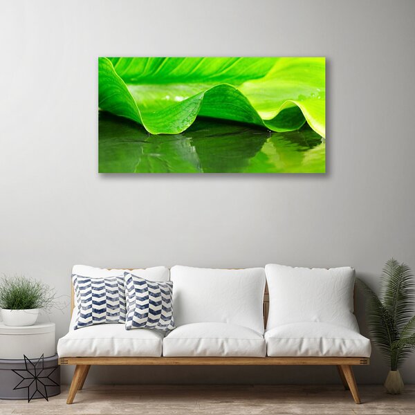 Quadro su tela Foglia di piante naturali 100x50 cm